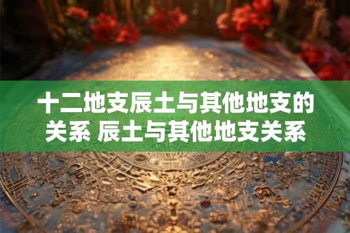 十二地支辰土与其他地支的关系 辰土与其他地支关系如何