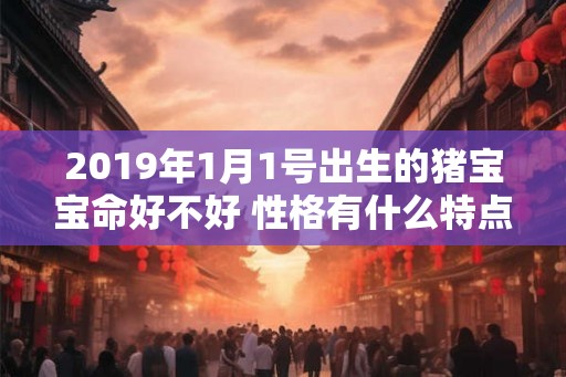 2019年1月1号出生的猪宝宝命好不好 性格有什么特点 2019年1月1号出生的猪宝宝命好不好 性格有什么特点