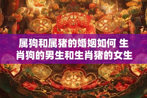 属狗和属猪的婚姻如何 生肖狗的男生和生肖猪的女生缘份指数