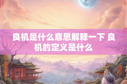良机是什么意思解释一下 良机的定义是什么