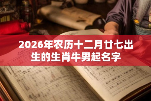 2026年农历十二月廿七出生的生肖牛男起名字