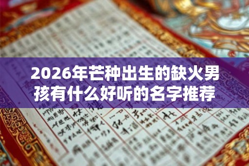 2026年芒种出生的缺火男孩有什么好听的名字推荐