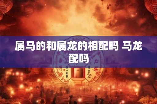 属马的和属龙的相配吗 马龙配吗