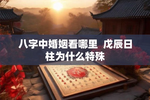 八字中婚姻看哪里 戊辰日柱为什么特殊 八字中婚姻看哪里 戊辰日柱为什么特殊
