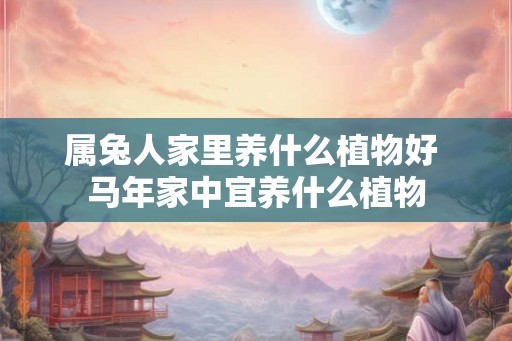 属兔人家里养什么植物好 马年家中宜养什么植物