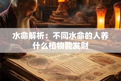 水命解析：不同水命的人养什么植物能发财
