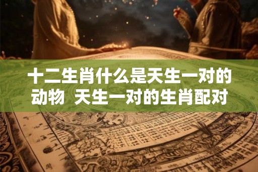 十二生肖什么是天生一对的动物  天生一对的生肖配对