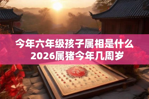 今年六年级孩子属相是什么  2026属猪今年几周岁