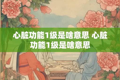 心脏功能1级是啥意思 心脏功能1级是啥意思