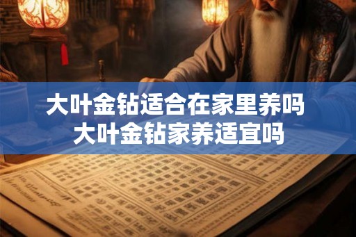 大叶金钻适合在家里养吗 大叶金钻家养适宜吗