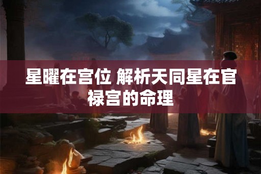 星曜在宫位 解析天同星在官禄宫的命理 星曜在宫位 解析天同星在官禄宫的命理