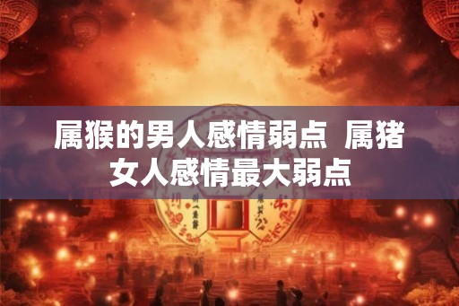 属猴的男人感情弱点  属猪女人感情最大弱点