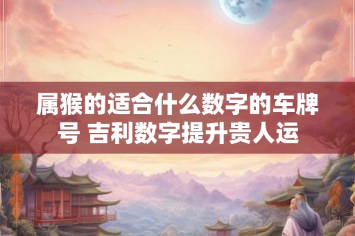 属猴的适合什么数字的车牌号 吉利数字提升贵人运
