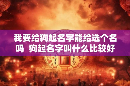 我要给狗起名字能给选个名吗  狗起名字叫什么比较好听