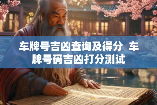 车牌号吉凶查询及得分  车牌号码吉凶打分测试