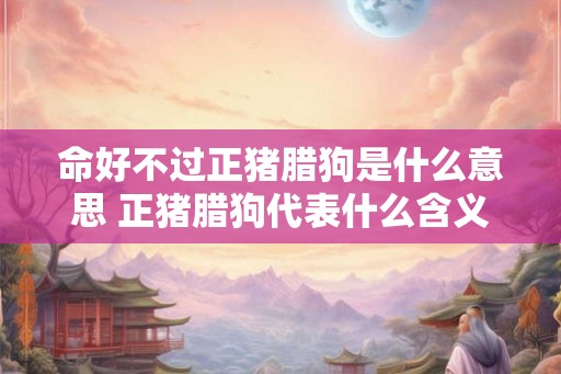 命好不过正猪腊狗是什么意思 正猪腊狗代表什么含义