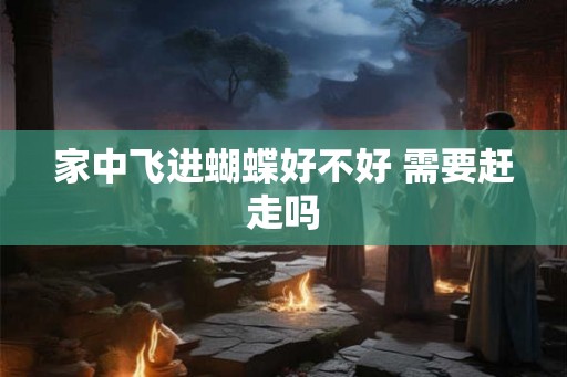 家中飞进蝴蝶好不好 需要赶走吗