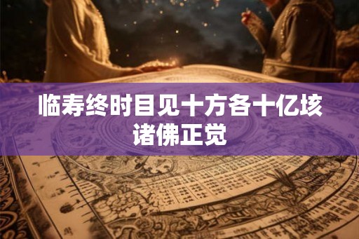 临寿终时目见十方各十亿垓诸佛正觉