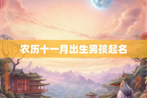农历十一月出生男孩起名 农历十一月出生男孩起名