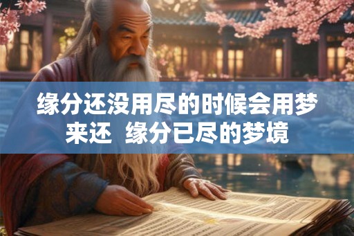 缘分还没用尽的时候会用梦来还  缘分已尽的梦境