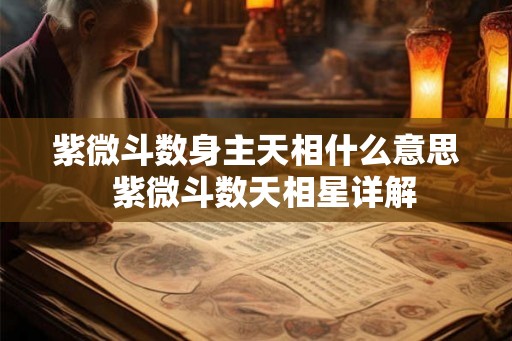 紫微斗数身主天相什么意思  紫微斗数天相星详解