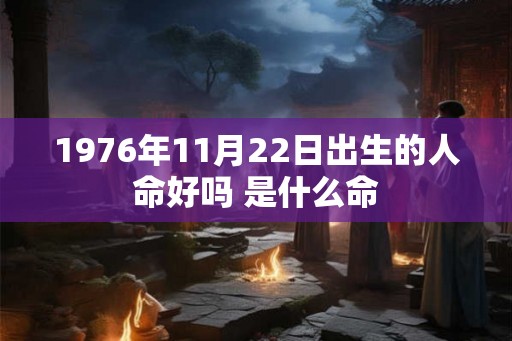 1976年11月22日出生的人命好吗 是什么命