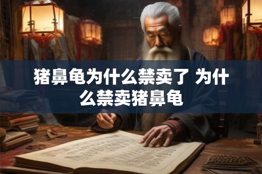 猪鼻龟为什么禁卖了 为什么禁卖猪鼻龟
