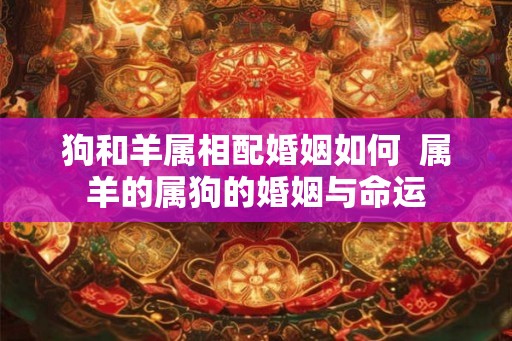 狗和羊属相配婚姻如何  属羊的属狗的婚姻与命运