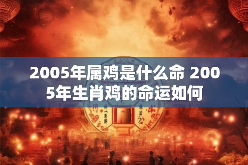 2005年属鸡是什么命 2005年生肖鸡的命运如何 2005年属鸡是什么命 2005年生肖鸡的命运如何