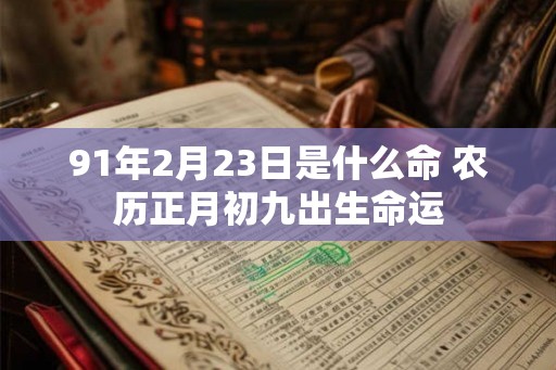 91年2月23日是什么命 农历正月初九出生命运