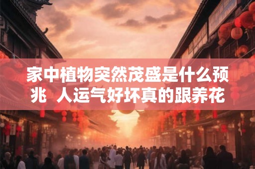 家中植物突然茂盛是什么预兆  人运气好坏真的跟养花有关吗