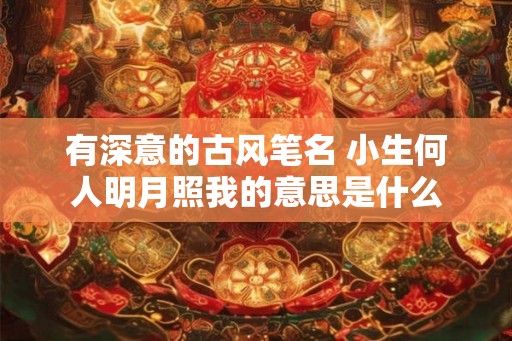有深意的古风笔名 小生何人明月照我的意思是什么