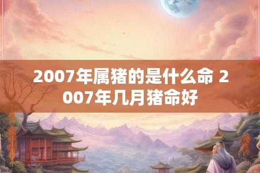 2007年属猪的是什么命 2007年几月猪命好