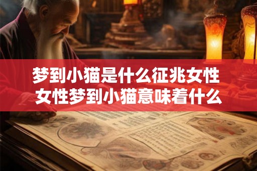 梦到小猫是什么征兆女性 女性梦到小猫意味着什么