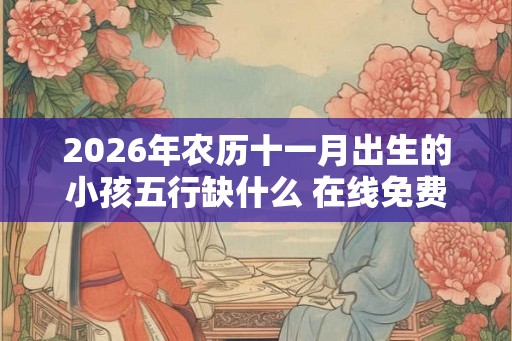 2026年农历十一月出生的小孩五行缺什么 在线免费查询 2026年农历十一月出生的小孩五行缺什么 在线免费查询