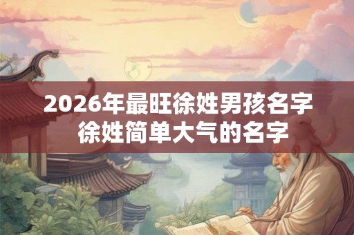 2026年最旺徐姓男孩名字  徐姓简单大气的名字