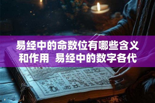 易经中的命数位有哪些含义和作用  易经中的数字各代表什么意思