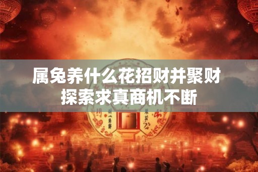 属兔养什么花招财并聚财 探索求真商机不断