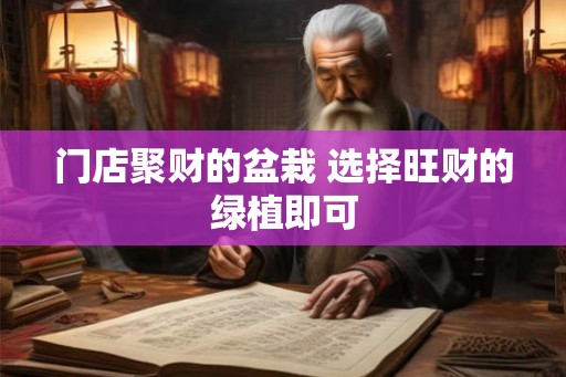 门店聚财的盆栽 选择旺财的绿植即可 门店聚财的盆栽 选择旺财的绿植即可