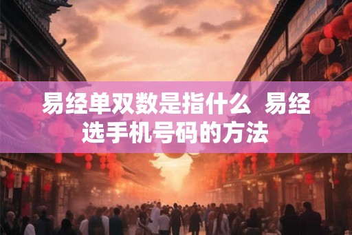 易经单双数是指什么  易经选手机号码的方法