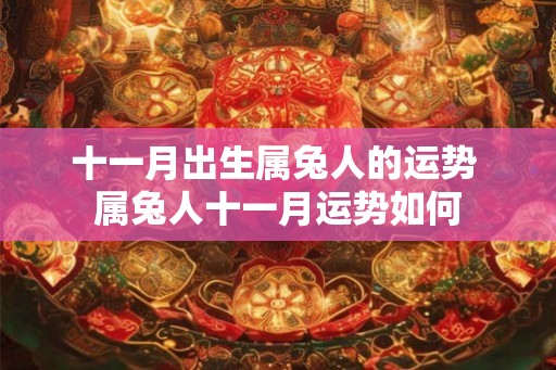 十一月出生属兔人的运势 属兔人十一月运势如何