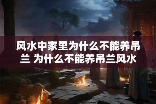 风水中家里为什么不能养吊兰 为什么不能养吊兰风水不好
