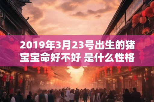 2019年3月23号出生的猪宝宝命好不好 是什么性格 2019年3月23号出生的猪宝宝命好不好 是什么性格