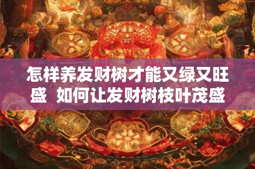 怎样养发财树才能又绿又旺盛  如何让发财树枝叶茂盛