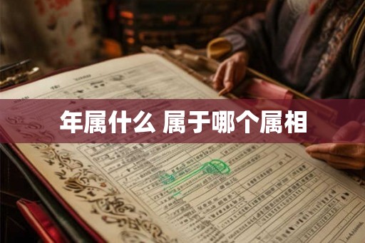 年属什么 属于哪个属相