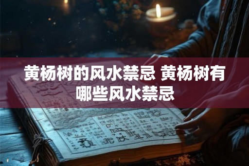 黄杨树的风水禁忌 黄杨树有哪些风水禁忌
