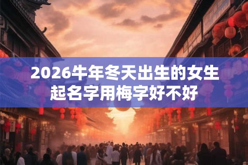 2026牛年冬天出生的女生起名字用梅字好不好
