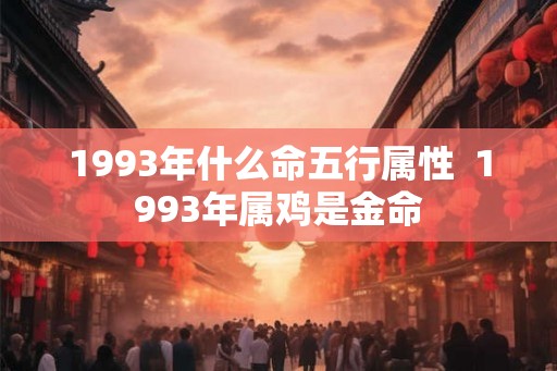 1993年什么命五行属性  1993年属鸡是金命
