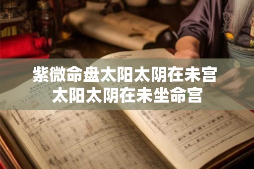紫微命盘太阳太阴在未宫 太阳太阴在未坐命宫