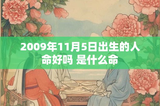 2009年11月5日出生的人命好吗 是什么命